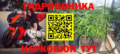 каннабис Кандалакша