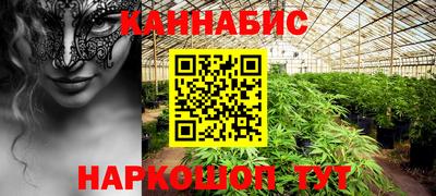 амф Камышлов