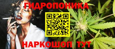 амф Камышлов