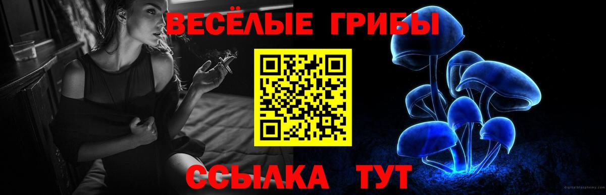 Тихвин  Галлюциногенные грибы прущие грибы  Вход с VPN  Галлюциногенные грибы MAGIC MUSHROOMS 